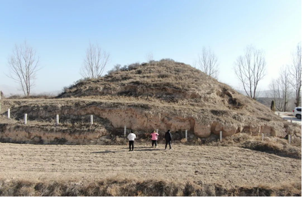 202506081749352361111803.png image.png