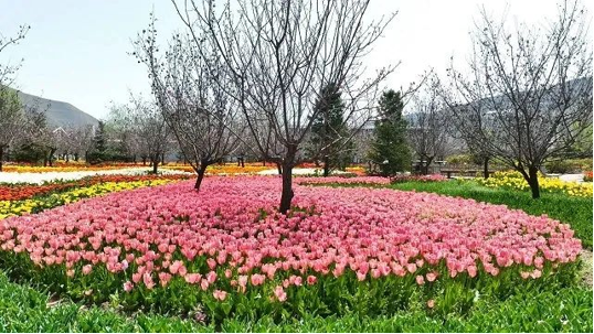 202506081749356660849523.png image.png