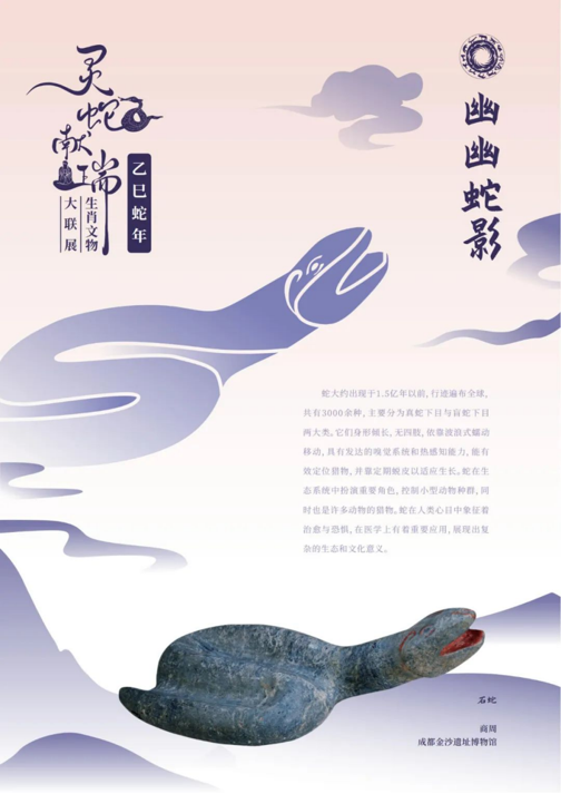 202506081749363010554762.png image.png