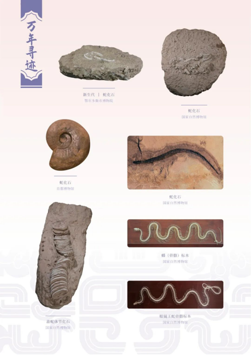 202506081749363026721762.png image.png