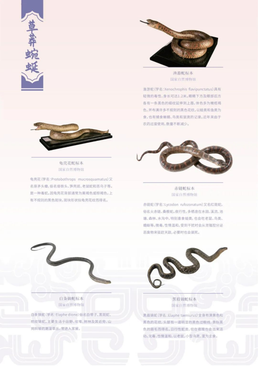 202506081749363035127911.png image.png