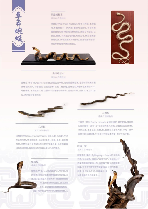 202506081749363040994660.png image.png