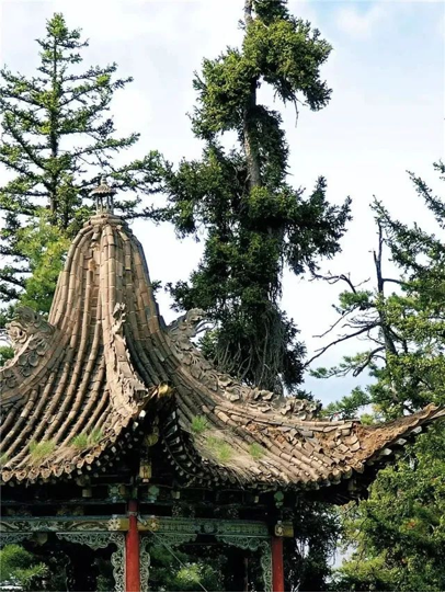 202508201755653084900115.png image.png