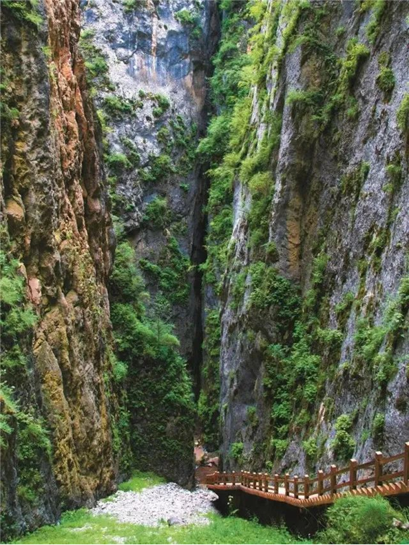 202508201755653097522235.png image.png