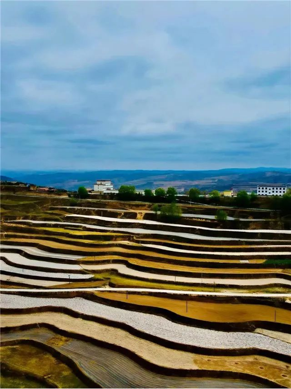 202508201755653111511046.png image.png