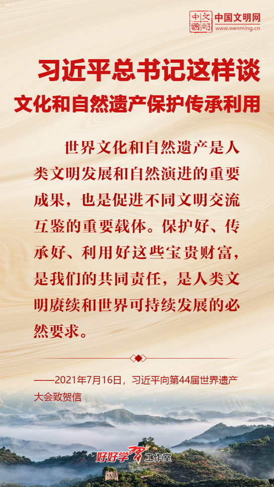 202508201755653504107562.png image.png