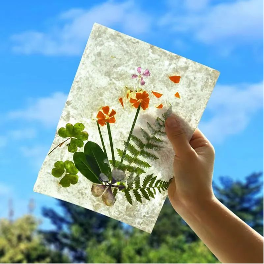 202508201755655014582426.png image.png