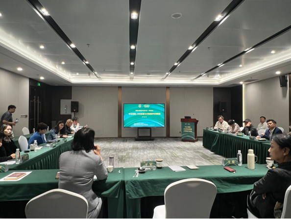 202511171763342086244166.png image.png